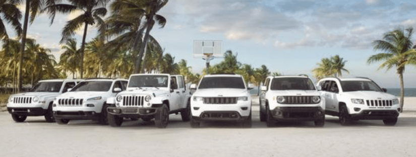 The full lineup of white Jeeps facing the camera with palm trees in back
