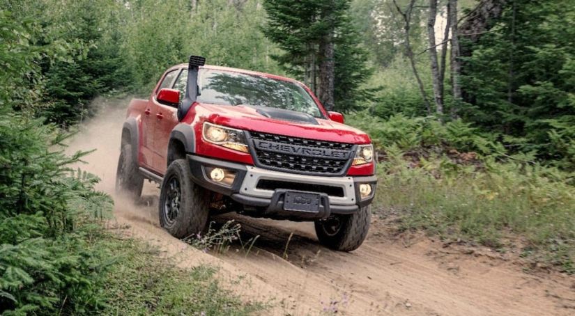Red 2019 Chevy Colorado Bison on woodland trails
