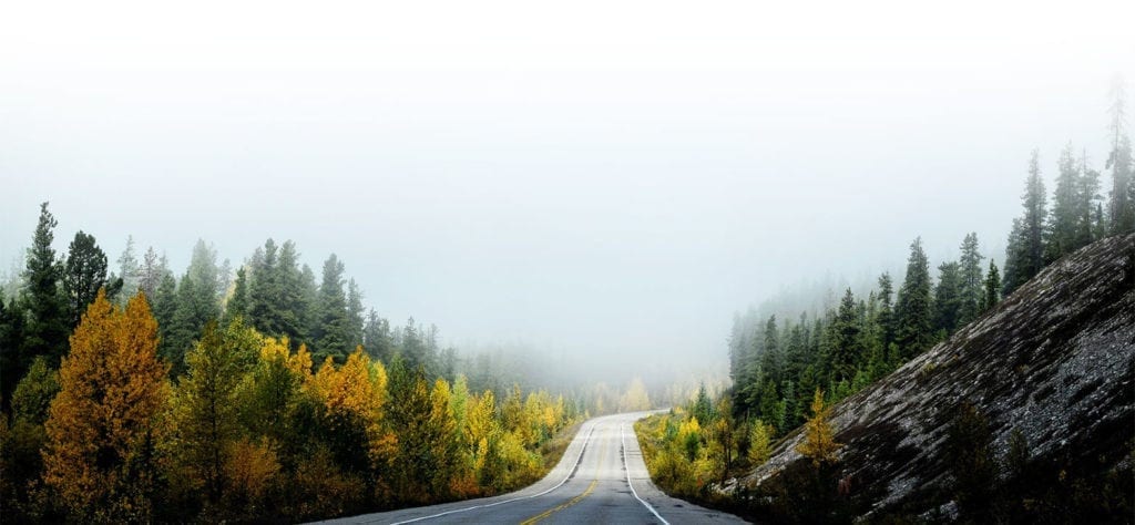 Misty road through woods