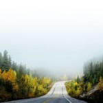 Misty road through woods