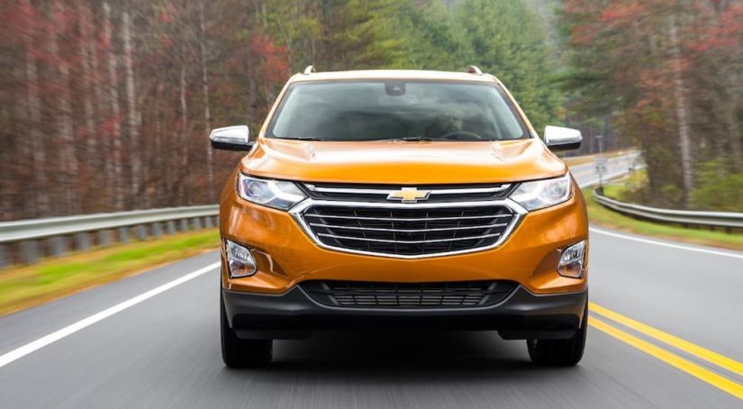 An orange 2019 Chevy Equinox driving on a winding woodland road towards the camera