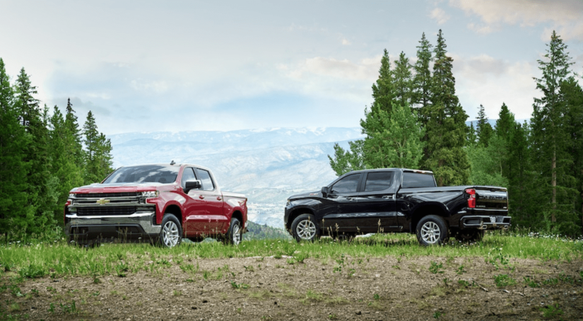 Two 2019 Chevy Silverados are shown in front of pines and distant mountains. One is red and the other black.