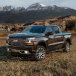 A dark colored 2019 Chevy Silverado is parked in a field with snowy mountains in the distance.