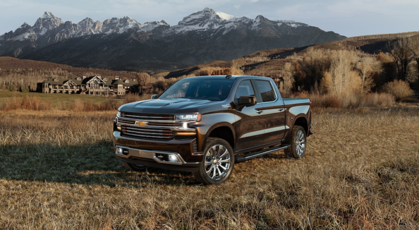 A dark colored 2019 Chevy Silverado is parked in a field with snowy mountains in the distance.