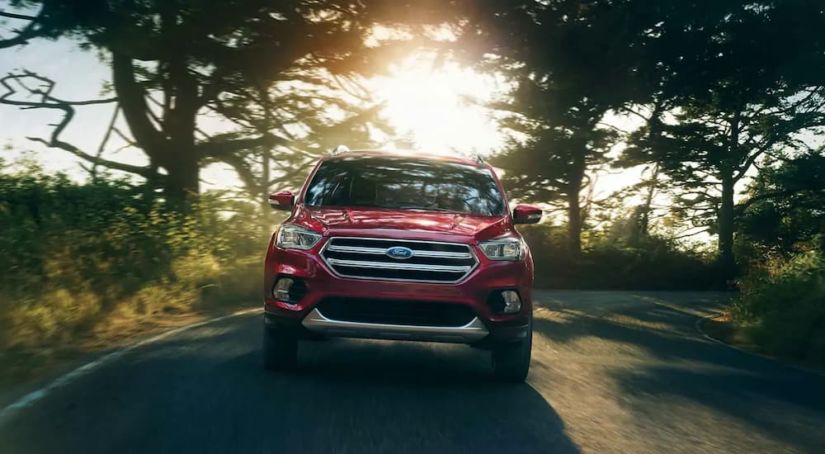 A red 2019 Ford Escape is driving with sun shining through the trees.