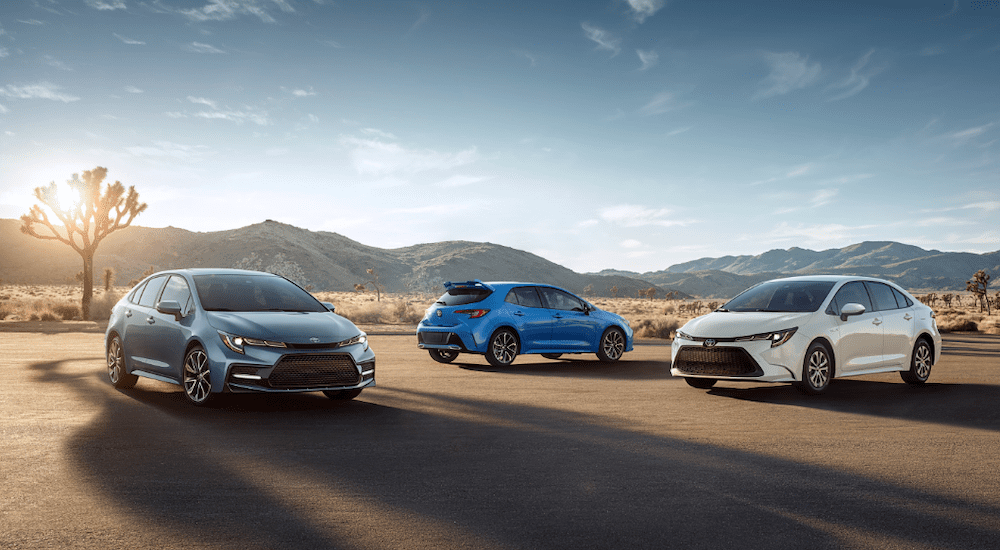 Silver, blue, and white Toyota Corolla models