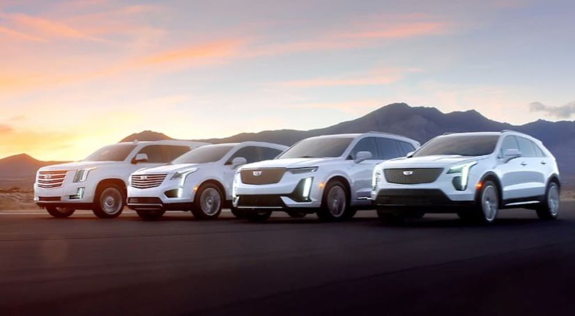 The white Cadillac XT4, XT5, XT6 and Escalade are shown at sunset in front of mountains in an image titled "Rise".
