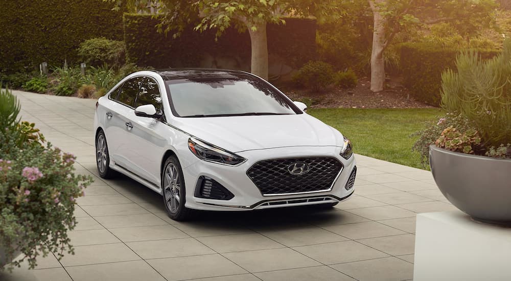 A white 2019 Hyundai Sonata is parked in a sunny driveway.