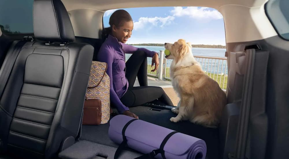 A woman is sitting in the back of her 2019 Ford escape with her dog, bag, and yoga mat. The Escape wins when comparing cargo space in the 2019 Ford Escape vs 2019 Toyota RAV4.