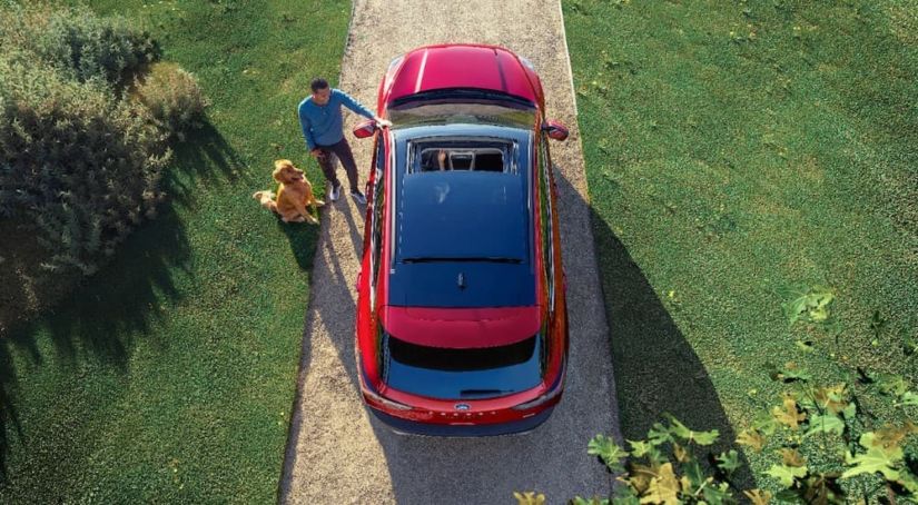 A red 2020 Ford Escape from above on a driveway with the driver talking to a man and a dog.