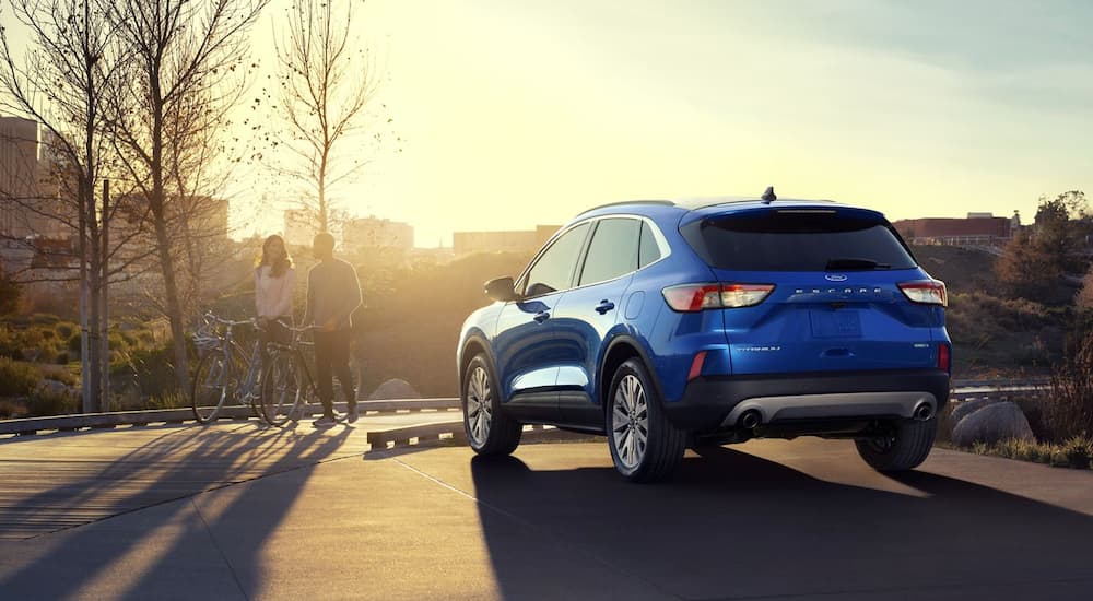 A blue 2020 Ford Escape is parked with a city view.