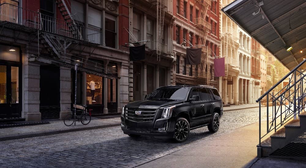 A black 2019 Cadillac Escalade, popular among Cadillacs for sale, is parked on a city side street.