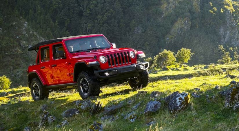 A red 2019 Jeep Wrangler is on a grassy mountain trail.