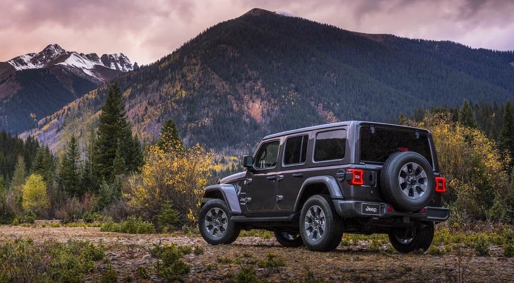 A grey 2019 Jeep Wrangler is at the base of a mountain after leaving one of the Dealerships in Denver
