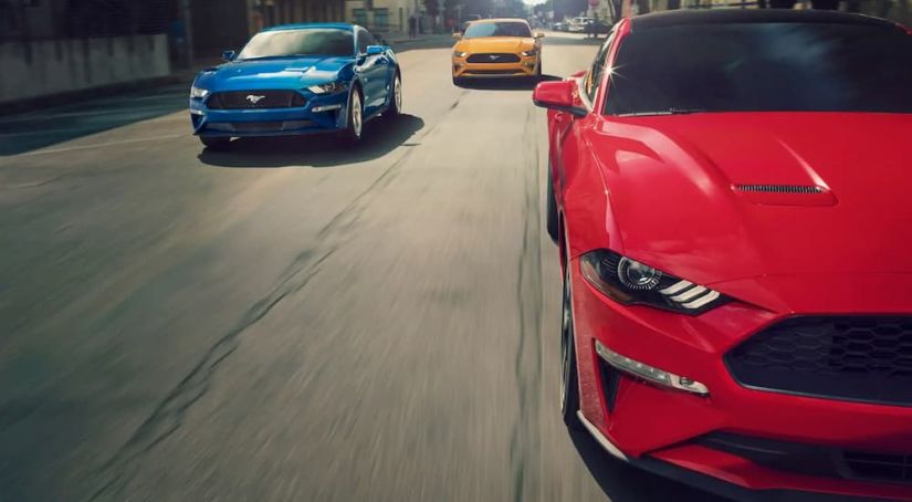 Three 2019 Ford Mustangs, popular among Ford cars for sale, are driving towards the camera view.
