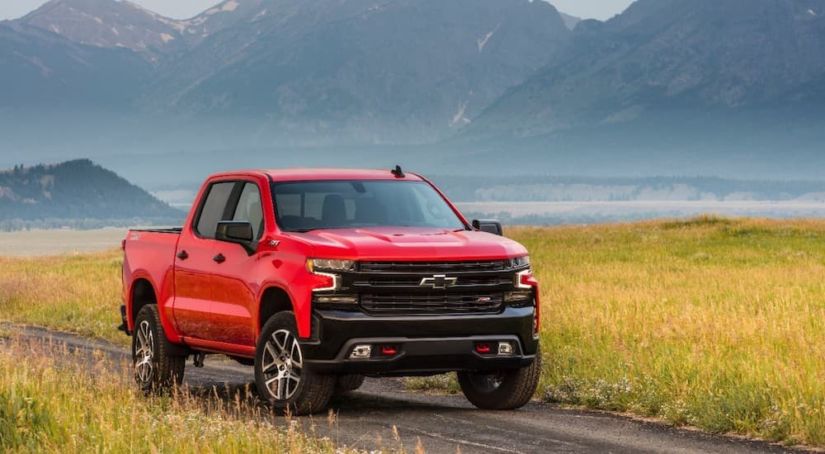 A red 2019 Chevy Silverado 1500 Trailboss is on a dirt path in a field.