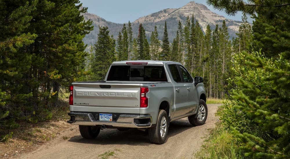 A silver 2019 Chevy Silverado 1500 is on a dirt road.