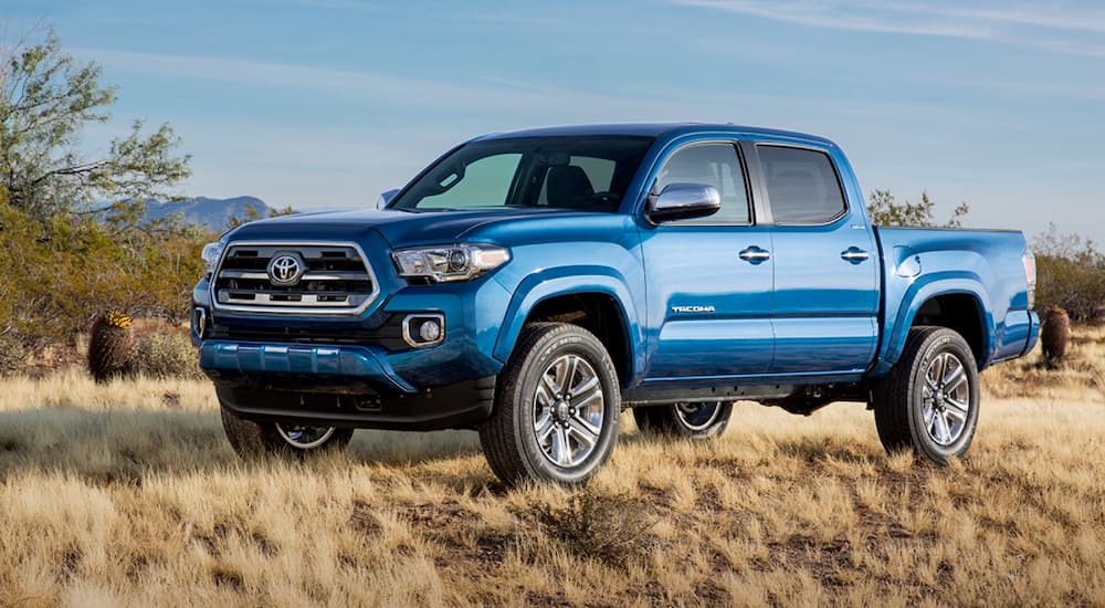A blue 2016 Toyota Tacoma, popular among used trucks for sale, is off-road in a field.
