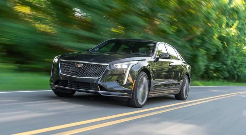 A black 2019 Cadillac CT6-V, a model which is popular among used luxury cars, is driving past trees.