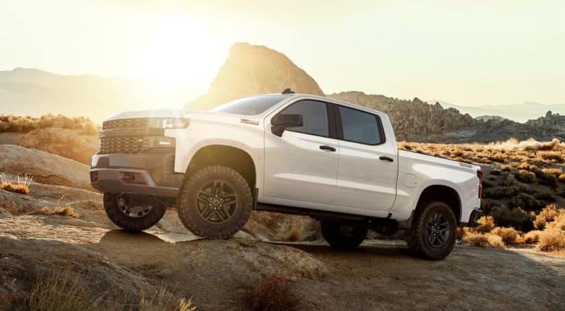 A white 2019 Chevy Silverado 1500 Custom Trail Boss is off-roading at sunset.