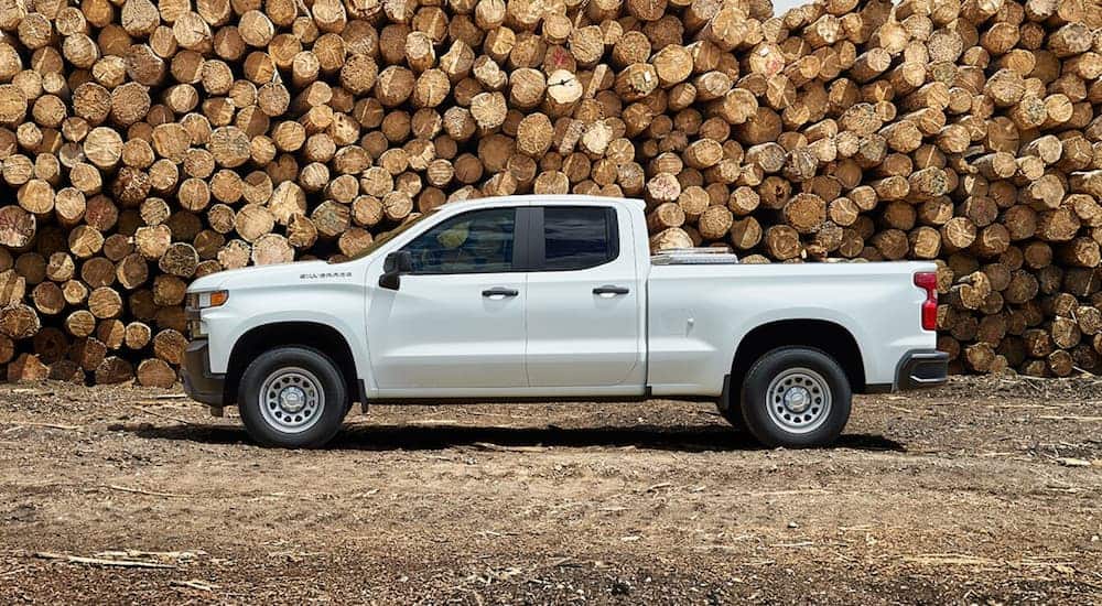 A white 2019 Chevy Silverado 1500, which wins when comparing 2019 Chevy Silverado vs 2019 Ram 1500, is parked in front of a wall of logs. 