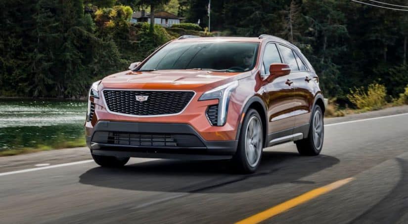 An orange 2020 Cadillac XT4 is driving on a treelined road.