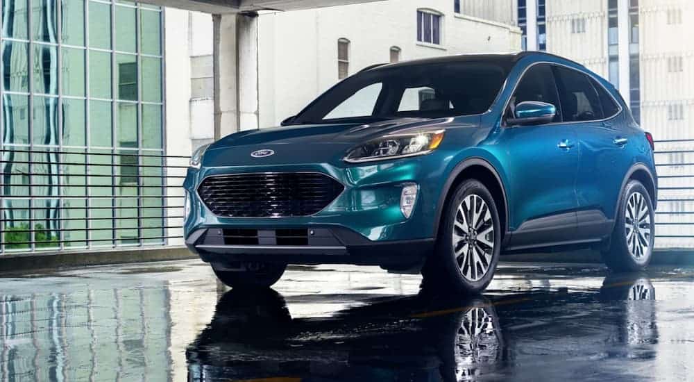 Is Newer Better? The 2020 vs 2019 Ford Escape | Car Buyer Labs