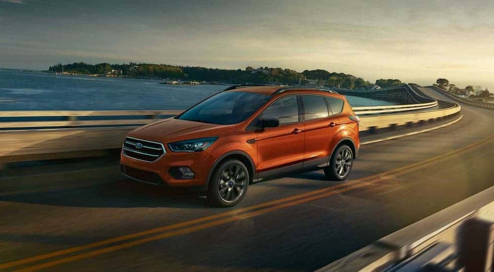 An orange 2019 Ford Escape is driving around a lake. 