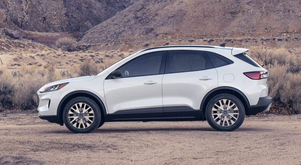 A white 2020 Ford Escape, which wins when comparing the 2020 Ford Escape vs 2019 Ford Escape, is parked on a dirt path.