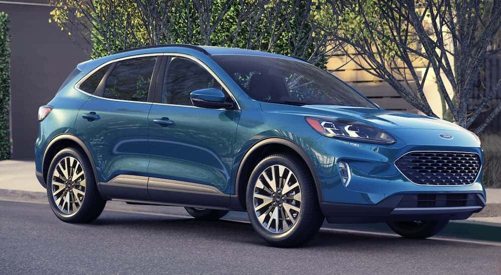 A blue 2020 Ford Escape, which wins when comparing the 2020 Ford Escape vs 2020 Nissan Rogue, is parked next a sidewalk with trees behind it.