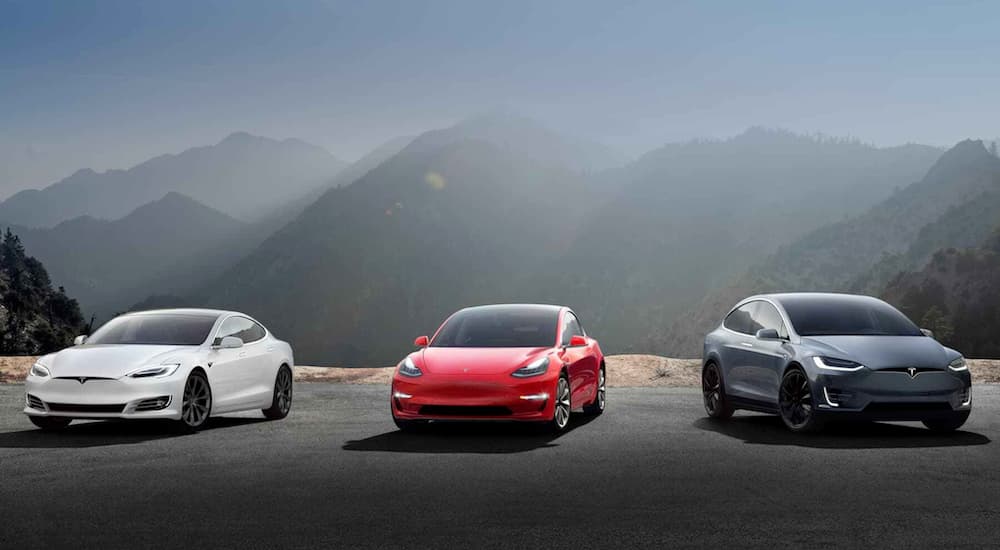 A Look At The Tesla Lineup Car Buyer Labs