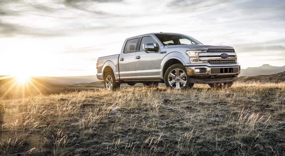 A silver 2017 Ford F-150 is parked in a grassy field. 