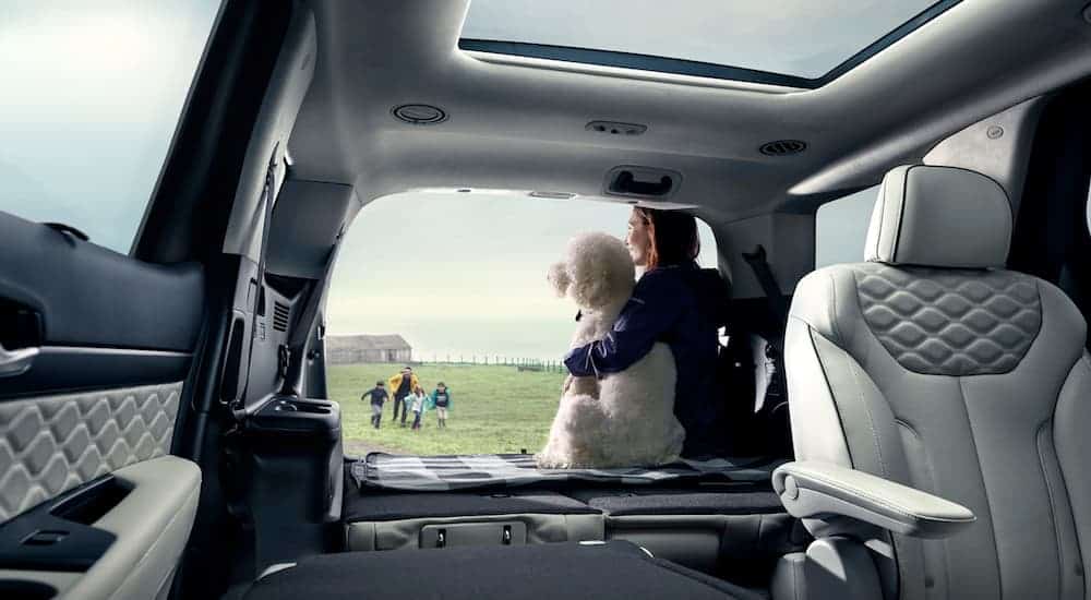 A woman is sitting with her dog in the interior of a 2020 Hyundai Palisade.