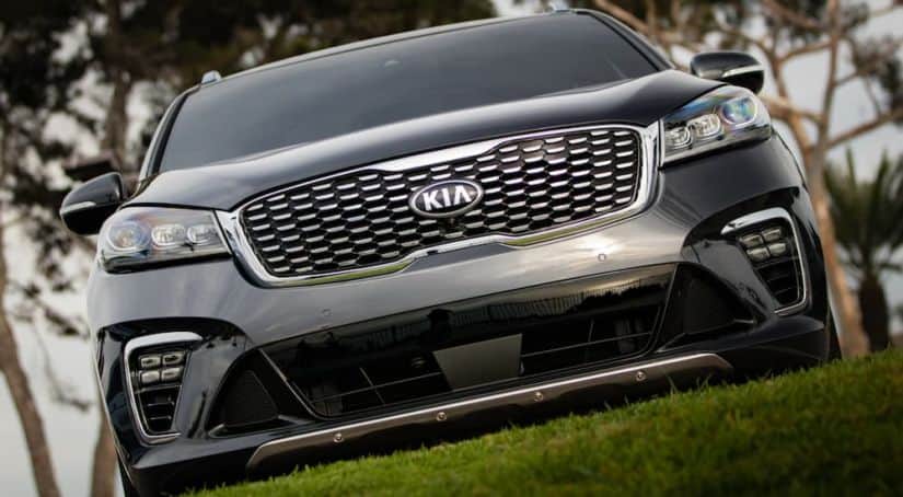 A close up of the front grill of the 2020 Kia Sorento.