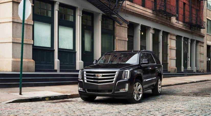 A black 2017 Cadillac Escalade, which is popular among used Cadillac's, is parked on a cobble stone road in front of a building.