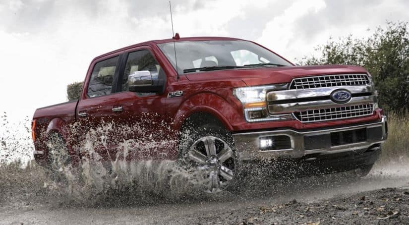A red 2020 Ford F-150, which wins when comparing the 2020 Ford F-150 vs 2020 Toyota Tundra, is driving through a mud puddle.