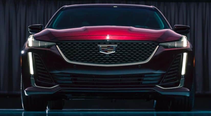 A close up of the front grille of a red 2020 Cadillac model is shown in a dark room.