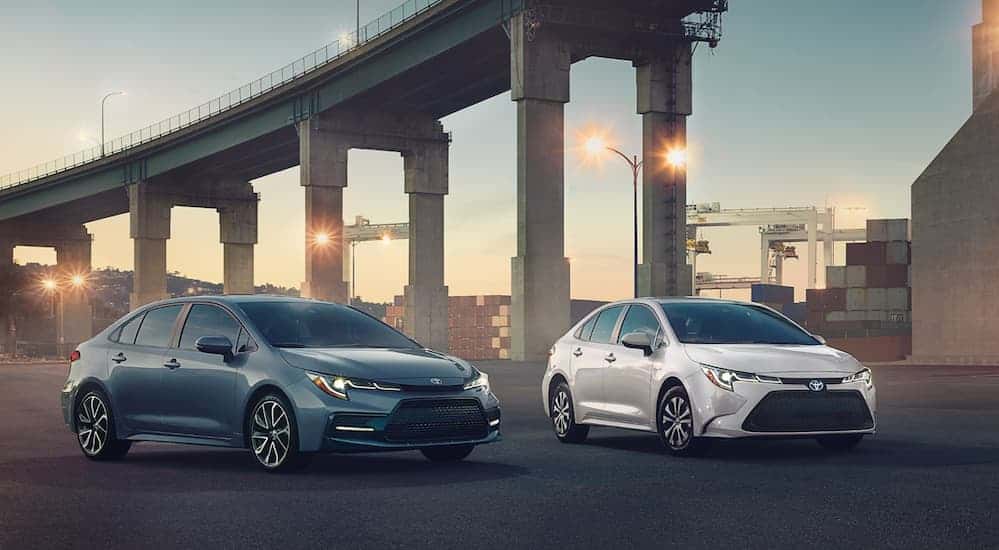 Two white and gray 2020 Toyota Corolla's are parked under a bridge at dusk.