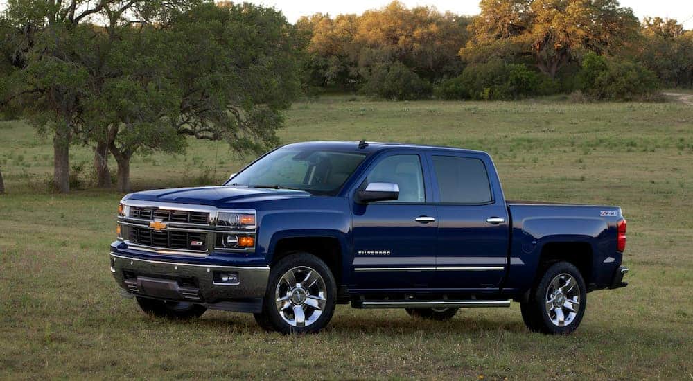 A blue 2014 Chevy Silverado 1500 is parked in a grassy field at dusk. 