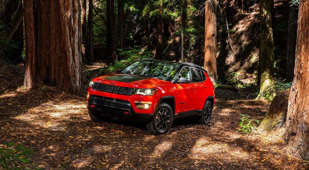 A red and black 2020 Jeep Compass Trailhawk is driving on a dirt trail through the woods.