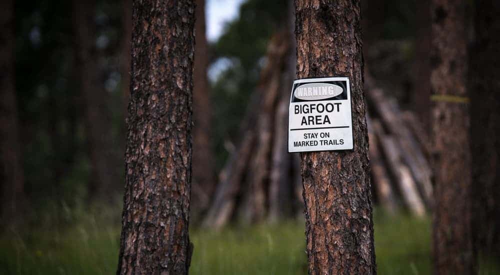 A tree in the woods has a "Caution Bigfoot" sign on near Austin, TX.
