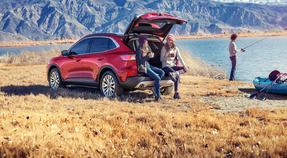 Two friends are sitting in the back of a 2020 Ford Escape, which wins when comparing the 2020 Ford Escape vs 2020 Nissan Rogue, while another is fishing next to them.