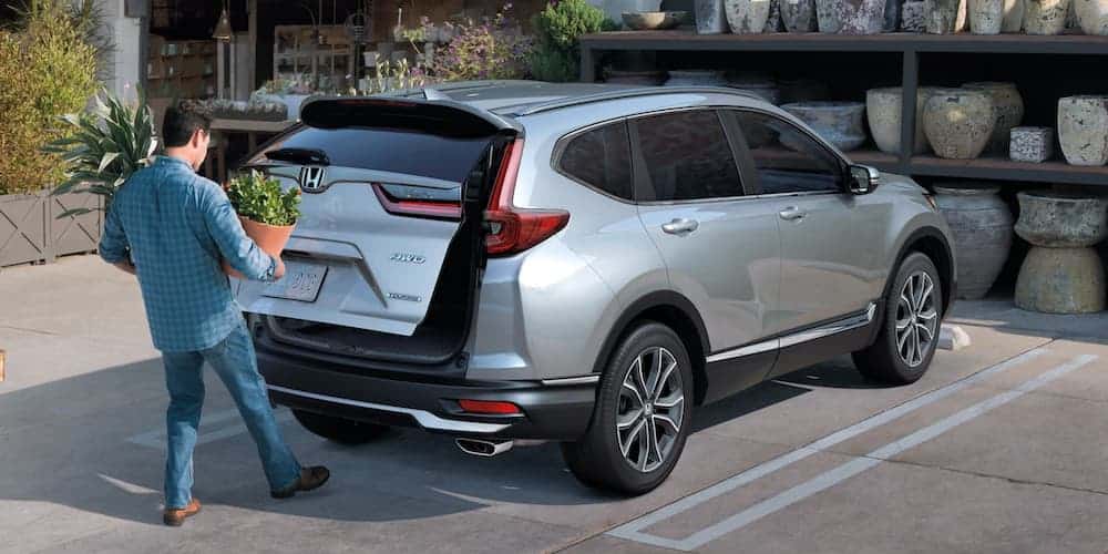 A man is loading a plant into the back of his silver 2020 Honda CR-V.