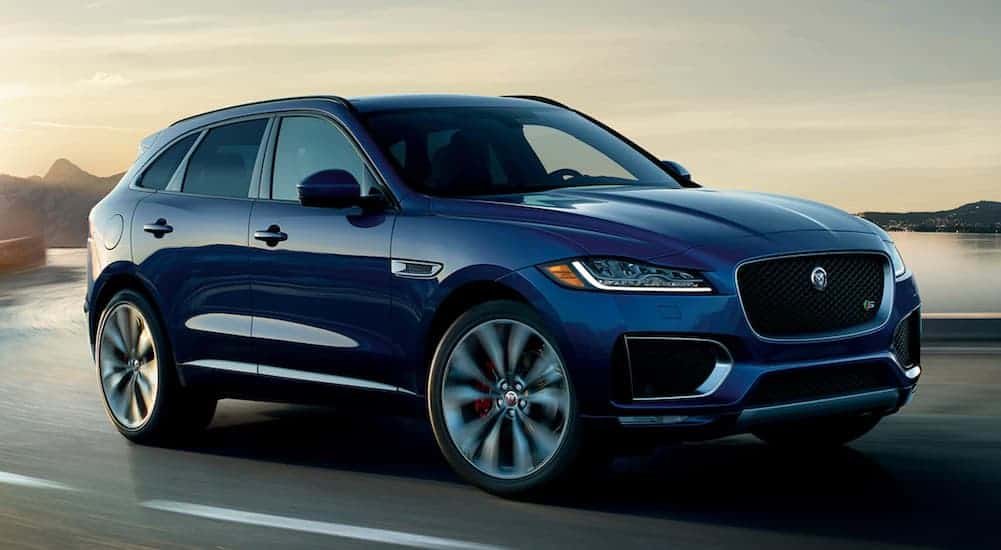 A blue 2020 Jaguar F-Pace SUV is driving at sunset.