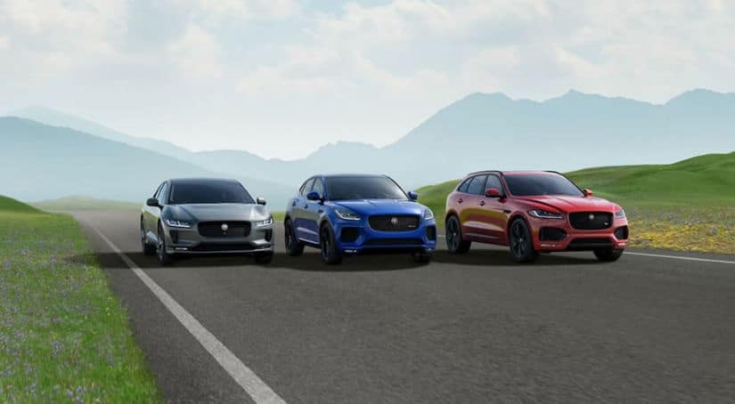 Three Jaguar models are driving on a mountain road in blue, grey, and red.