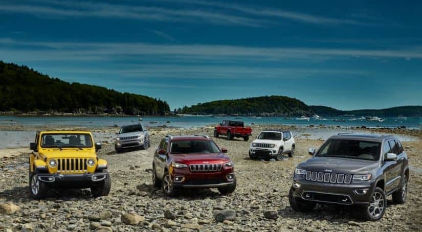 The 2020 Jeep lineup that can be found at a Jeep dealer near me, is parked on a rocky beach shore with islands.