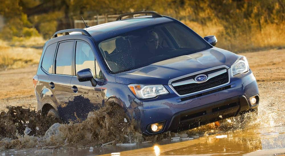 A grey 2016 Subaru Forester, which is popular among used cars for sale, is off-roading in the mud.