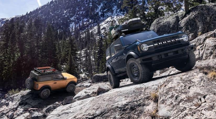 An orange 2-door and a dark blue 4-door 2021 Ford Bronco are off-roading on a mountain.