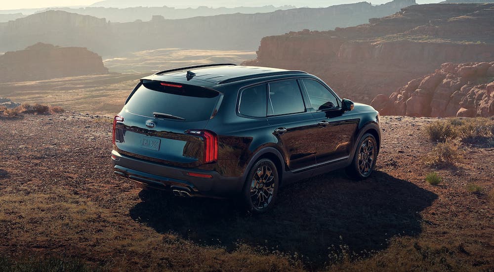 A newer SUV for sale, a black 2020 Kia Telluride, is parked overlooking a canyon.