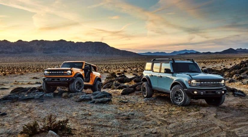 A yellow 2021 Ford Bronco 2-door and a blue Bronco 4-door are parked on rocks in front of a desert and mountains.